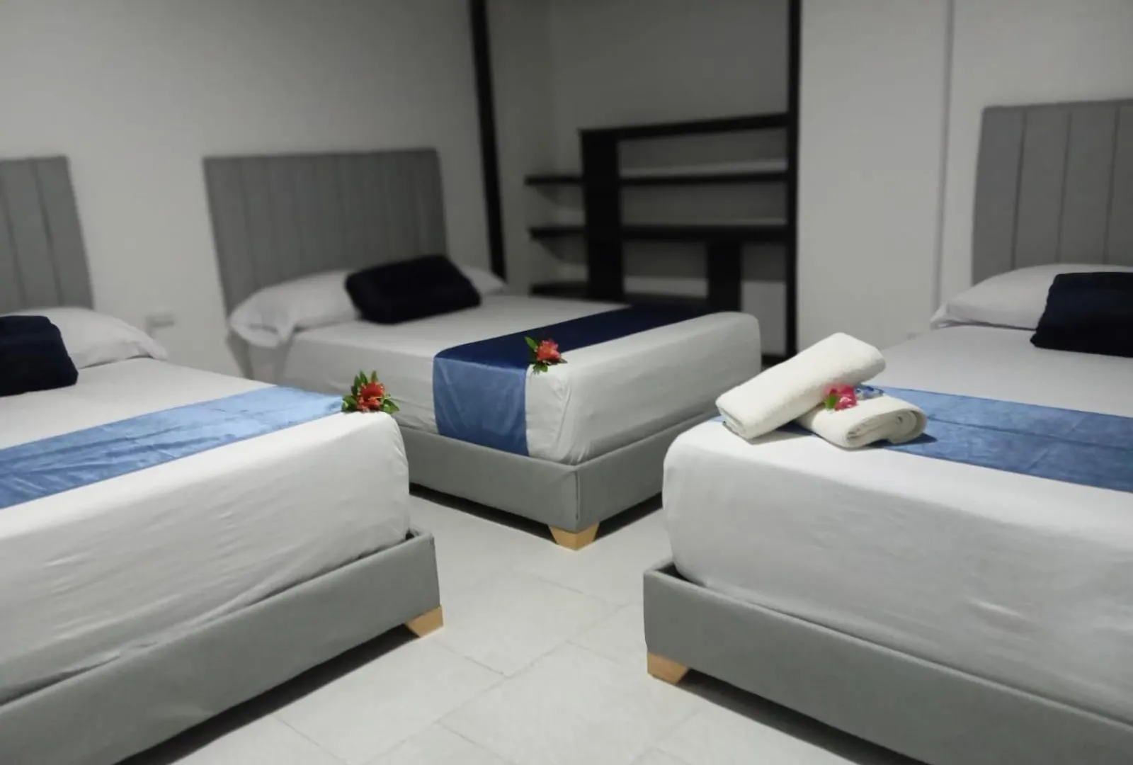 Hotel San Juan 70 Express Medellín